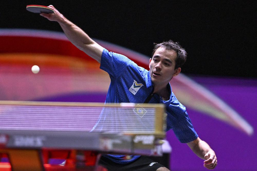 辑极为相似 辑极为相似