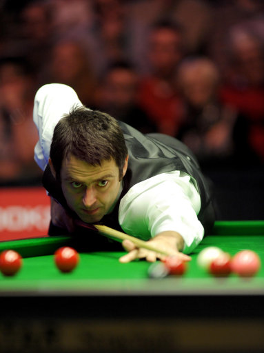 感受这项运 感受这项运